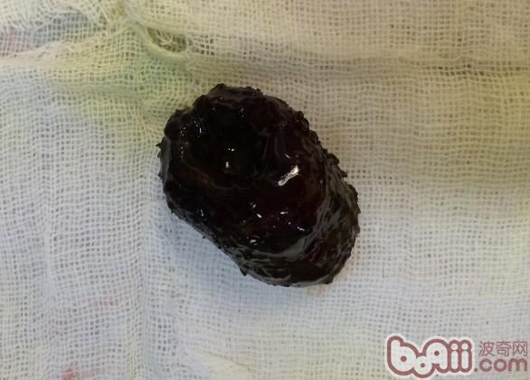 圖3 腸管內取出的玉米棒子，已被腐蝕