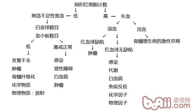 圖2：貧血診斷2 
