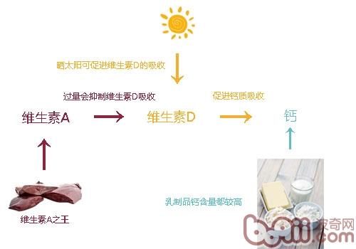維生素D可促進鈣質吸收