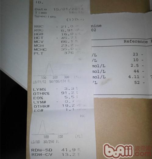 血常規檢查，顯示淋巴細胞和淋巴細胞比值降低，白細胞升高。