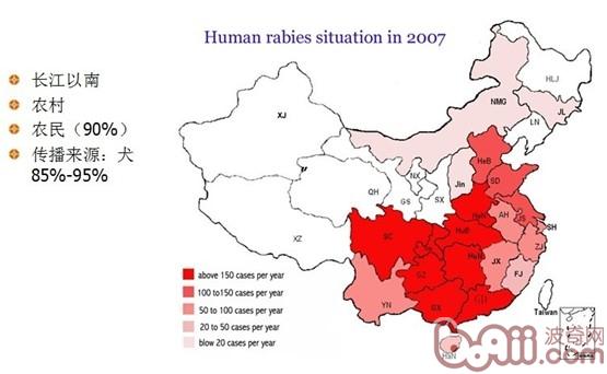 圖2：犬狂犬病的感染過程