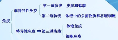 接種的疫苗對機體而言屬於特異性免疫
