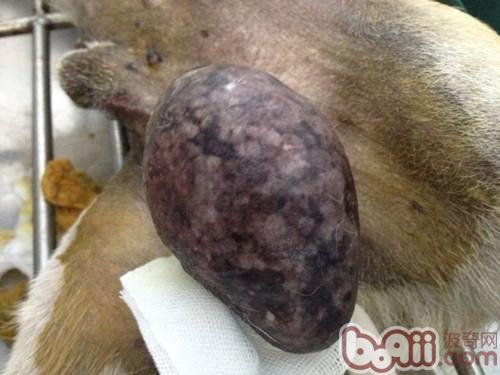 備皮及常規消毒