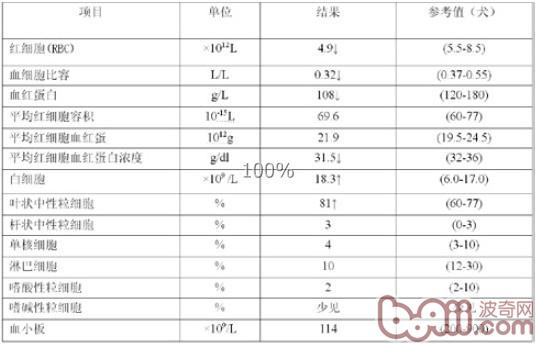 狗狗血常規檢查結果