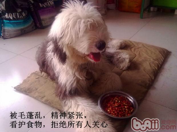 古牧