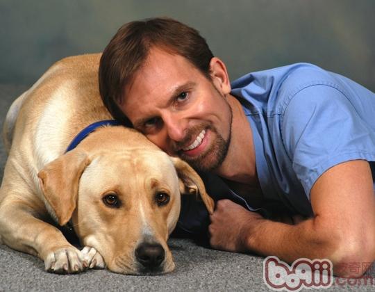 寵物犬