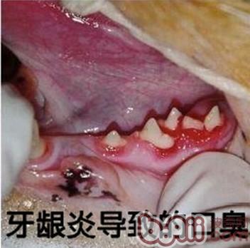 口臭