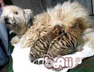 產後抽搐2.jpg