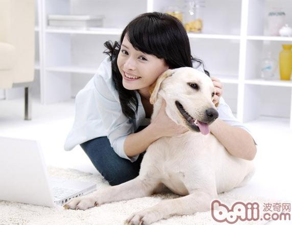 寵物犬