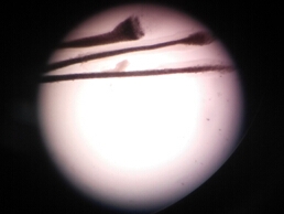 膠帶粘貼法