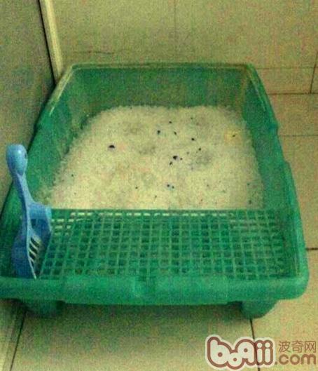 圖4：貓砂盆和水晶貓砂