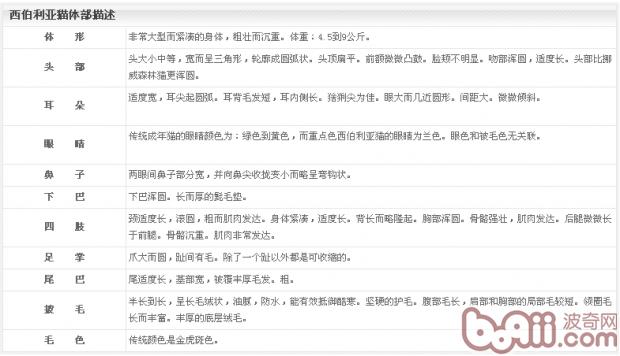 西伯利亞貓體態描述