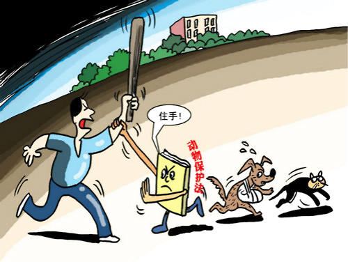 願虐貓不再有
