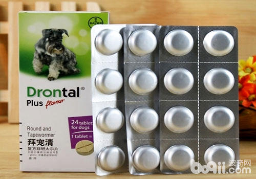 拜耳驅蟲藥