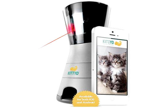 Kittyo
