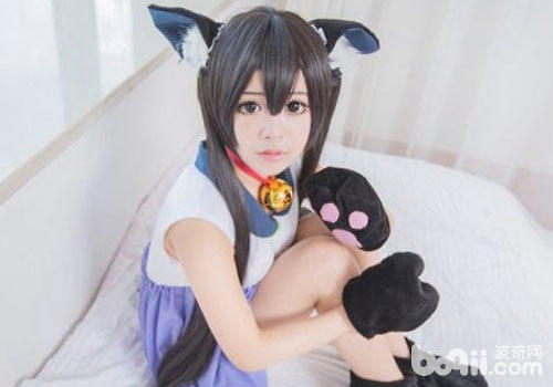 女生扮貓也能吸引貓咪？