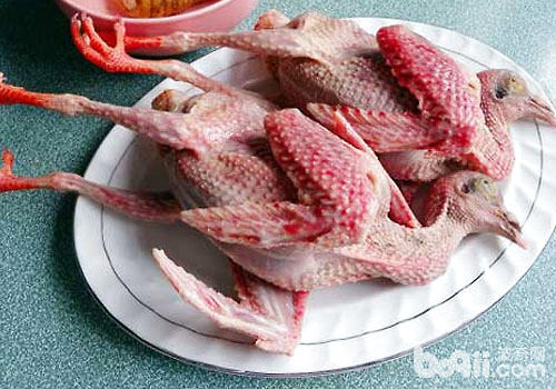 鴿肉