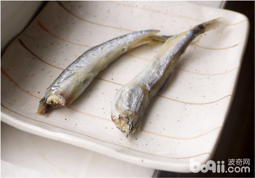 貓咪水煮魚