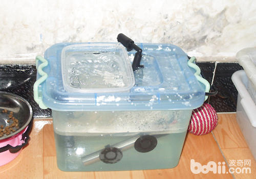 自動飲水器