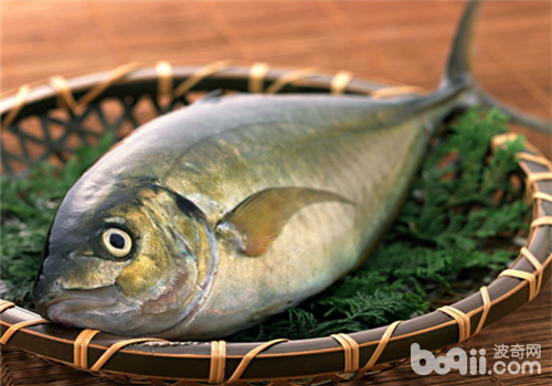 淡水魚