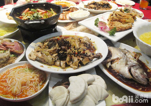不要過分喂食家中貓咪腸胃負擔