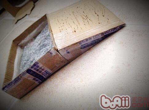 圖六：我給流浪小奶貓自制的帶個小坡的貓砂盆