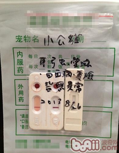 圖二：我帶小貓“拉面”去醫院檢查的診療結果