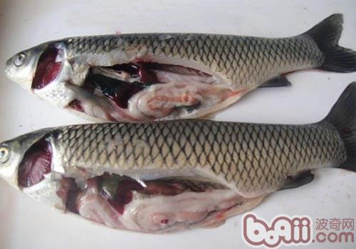 圖3 給貓咪喂食魚類，最好將內髒去除