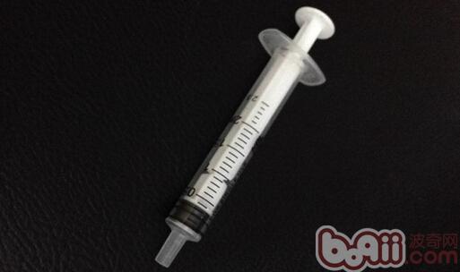 圖2 去掉針頭的注射器是灌藥的常用工具