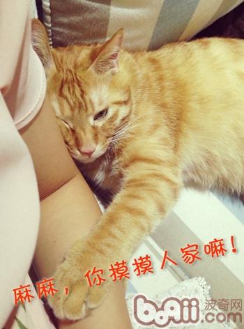春暖花開，小毛病歸來