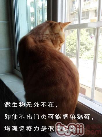 春暖花開，小毛病歸來