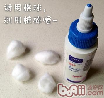 春暖花開，小毛病歸來