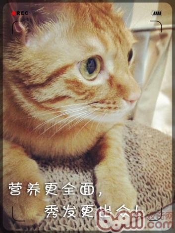 春暖花開，小毛病歸來