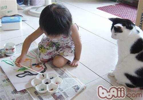 貓咪