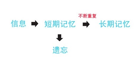 貓咪