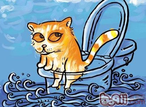 大庭廣眾之下的貓砂盆
