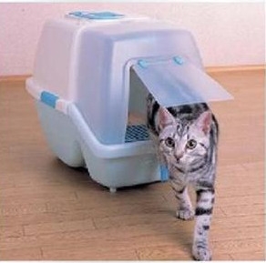 貓咪