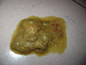 圖4 貓細小病毒引起的稀便