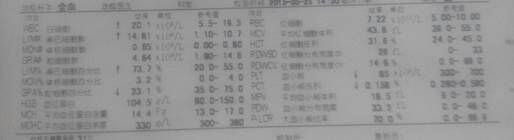 大白菜血常規，紅細胞如血紅蛋白、平均血紅蛋白含量、平均血紅蛋白濃度、紅細胞、平均紅細胞體積、紅細胞壓積等指標都正常。