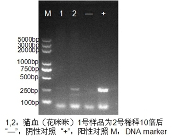 1F[`NBB6`(%KX}E`Y_6}ROU.jpg