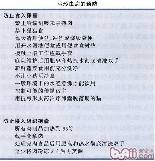 弓形蟲病的預防