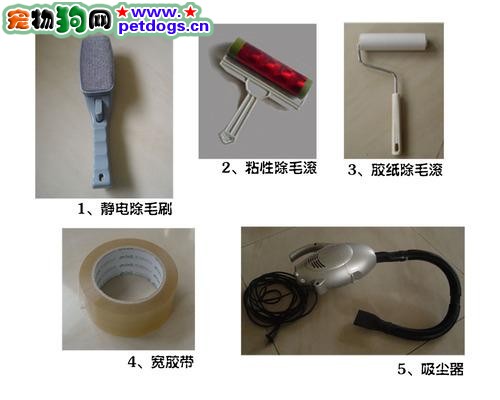狗毛 清理 除毛 [點擊放大]