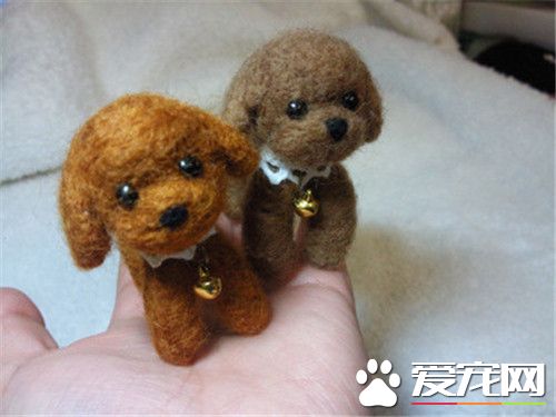 茶杯泰迪犬可以牽狗繩嗎 最好不要牽狗繩