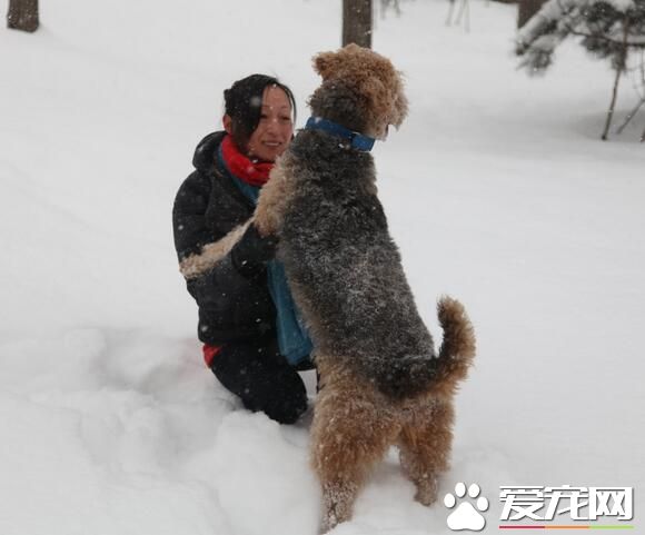萬能梗愛咬人那 一般情況下是不會主動攻擊人