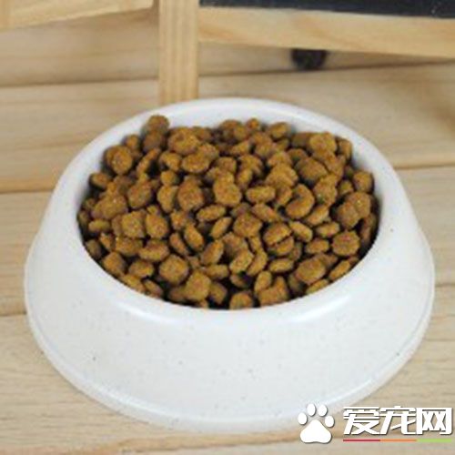 狗不吃狗糧怎麼辦 每天至少讓其跑5-10公裡