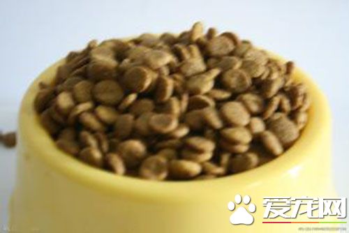 狗狗突然不吃狗糧了 導致狗狗拒食狗糧的原因