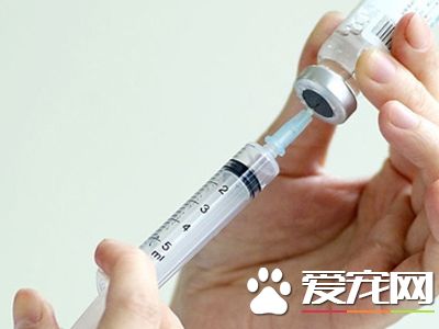打狂犬疫苗在哪裡打 醫院能打狂犬疫苗嗎