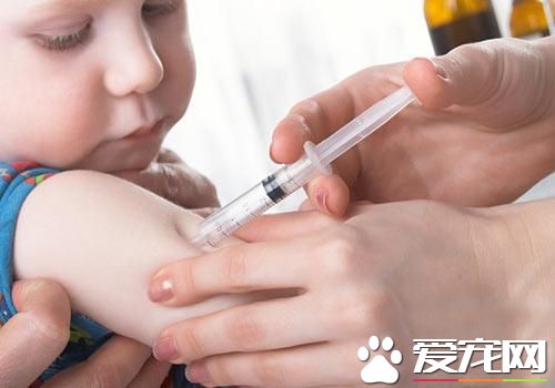 打完狂犬疫苗發燒 打完狂犬疫苗後的反應