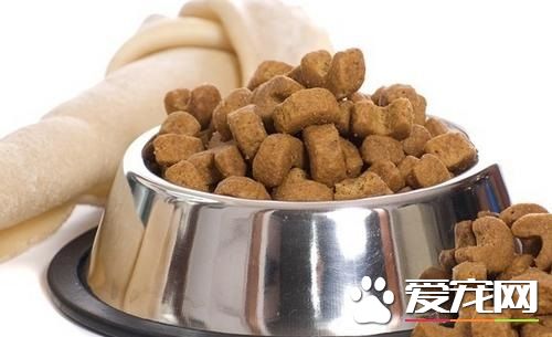 什麼狗糧最好吃 幼犬階段吃什麼狗糧
