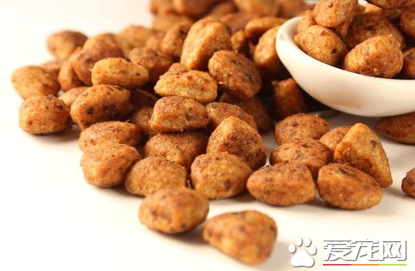 金毛多大吃干狗糧 為什麼要吃泡軟的狗糧
